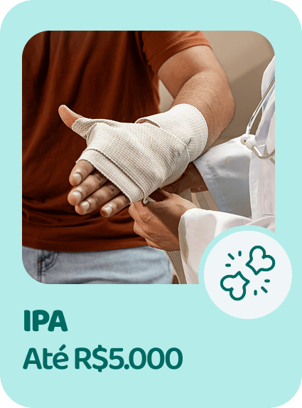 IPA